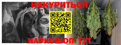 гидра Вязьма