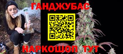 гидра Вязьма