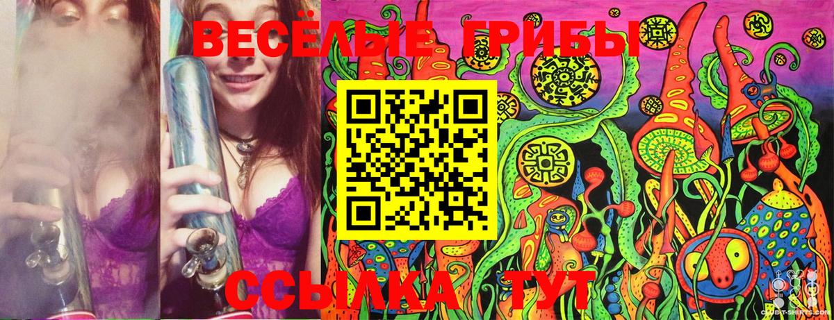 Псилоцибиновые грибы MAGIC MUSHROOMS  Вход с VPN  Серпухов 